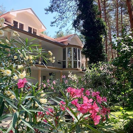 Vila Dunavski Raj Golubăţ Exterior foto