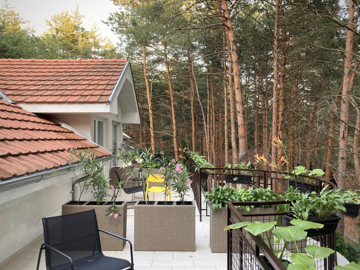 Vila Dunavski Raj Golubăţ Exterior foto
