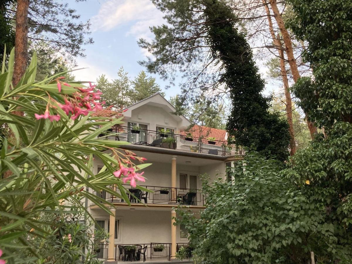 Vila Dunavski Raj Golubăţ Exterior foto