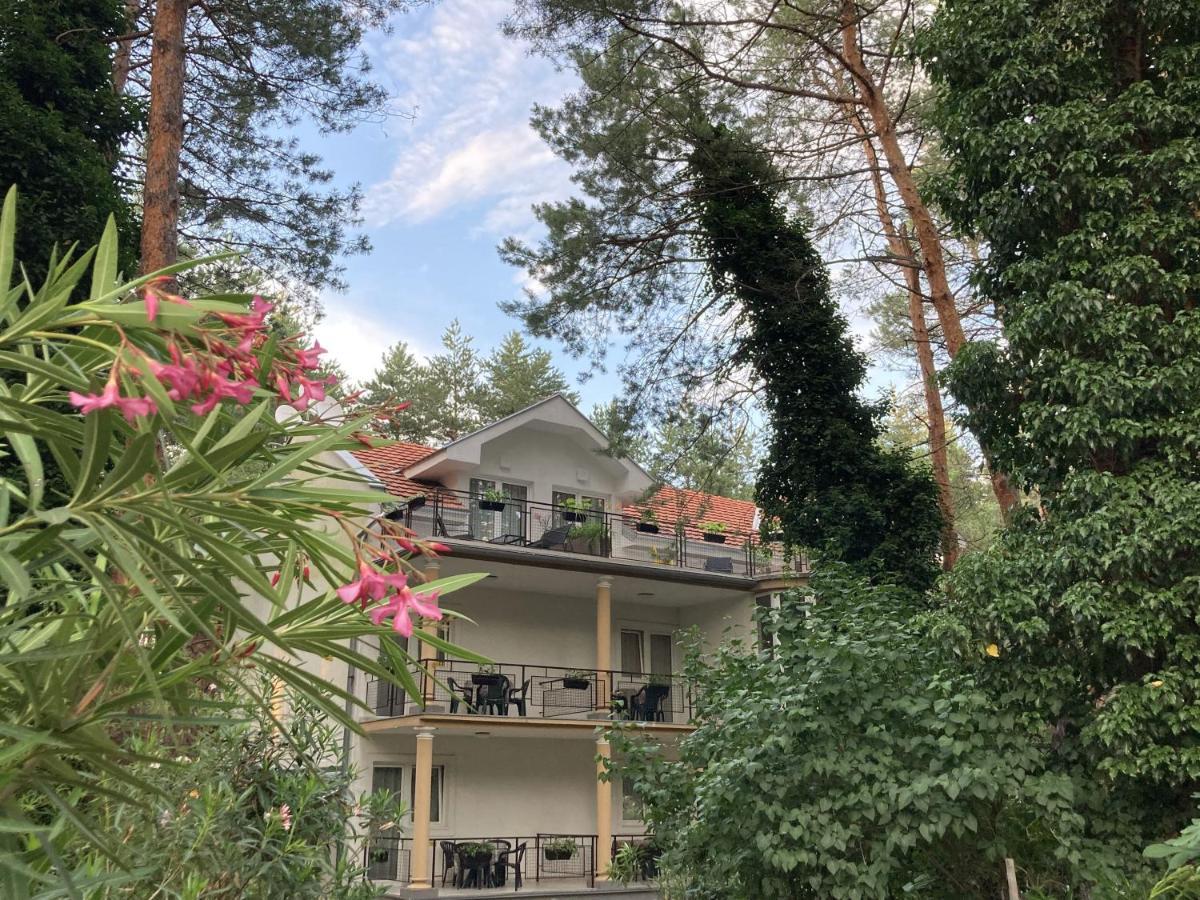 Vila Dunavski Raj Golubăţ Exterior foto