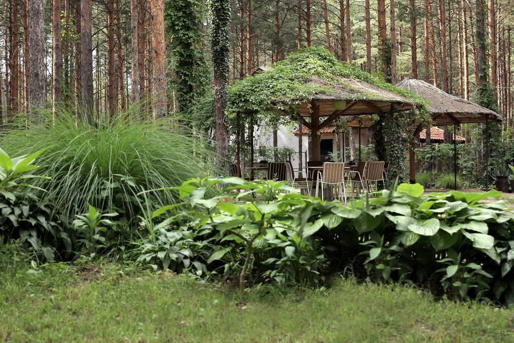 Vila Dunavski Raj Golubăţ Exterior foto