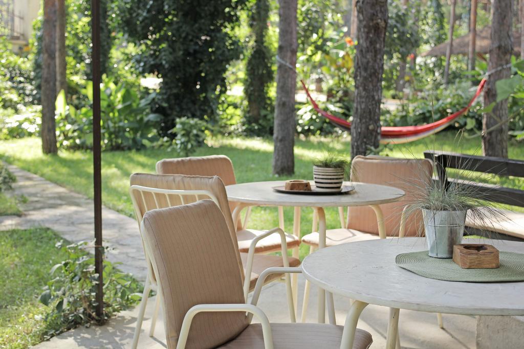 Vila Dunavski Raj Golubăţ Exterior foto